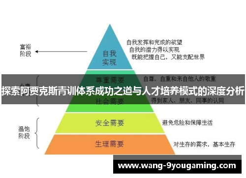 探索阿贾克斯青训体系成功之道与人才培养模式的深度分析