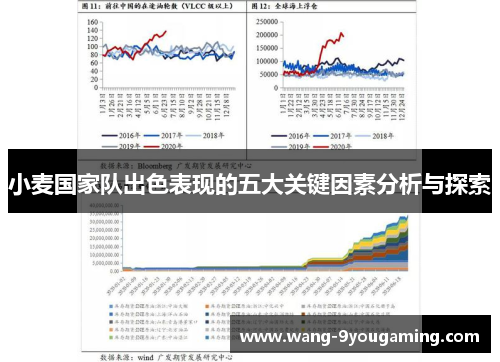 小麦国家队出色表现的五大关键因素分析与探索