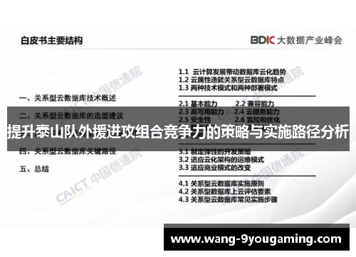 提升泰山队外援进攻组合竞争力的策略与实施路径分析 提升泰山队外援进攻组合竞争力的策略与实施路径分析