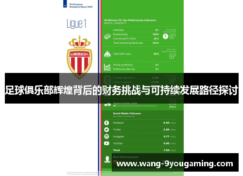 足球俱乐部辉煌背后的财务挑战与可持续发展路径探讨