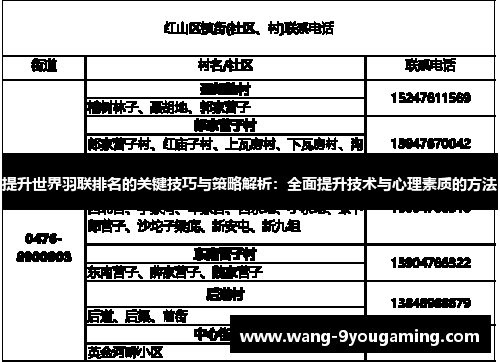 提升世界羽联排名的关键技巧与策略解析:全面提升技术与心理素质的方法 提升世界羽联排名的关键技巧与策略解析:全面提升技术与心理素质的方法