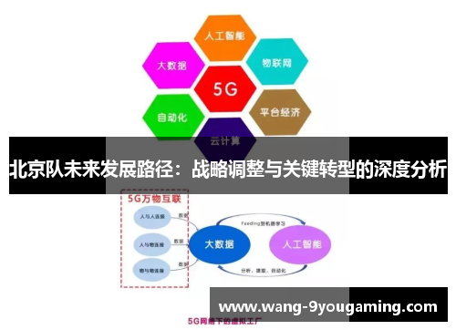 北京队未来发展路径：战略调整与关键转型的深度分析