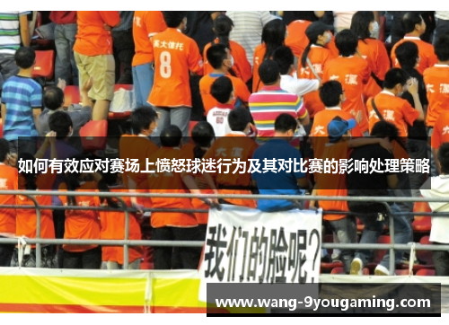 如何有效应对赛场上愤怒球迷行为及其对比赛的影响处理策略