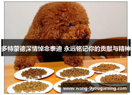 多特蒙德深情悼念泰迪 永远铭记你的贡献与精神 多特蒙德深情悼念泰迪 永远铭记你的贡献与精神