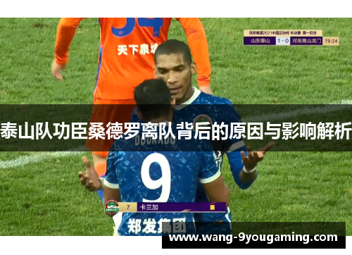 泰山队功臣桑德罗离队背后的原因与影响解析