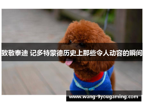 致敬泰迪 记多特蒙德历史上那些令人动容的瞬间