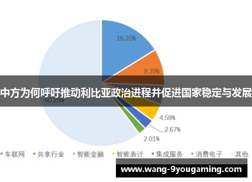 中方为何呼吁推动利比亚政治进程并促进国家稳定与发展