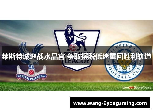 莱斯特城迎战水晶宫 争取摆脱低迷重回胜利轨道 莱斯特城迎战水晶宫 争取摆脱低迷重回胜利轨道