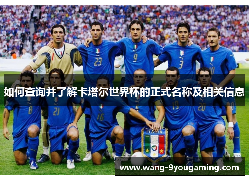 如何查询并了解卡塔尔世界杯的正式名称及相关信息