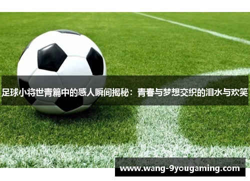 足球小将世青篇中的感人瞬间揭秘：青春与梦想交织的泪水与欢笑