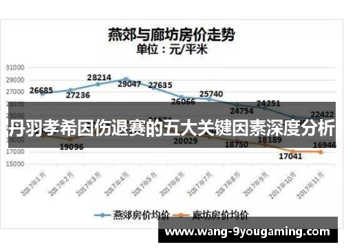 丹羽孝希因伤退赛的五大关键因素深度分析