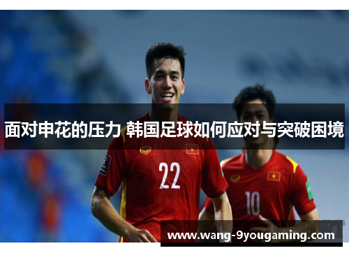 面对申花的压力 韩国足球如何应对与突破困境