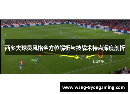 西多夫球员风格全方位解析与技战术特点深度剖析 西多夫球员风格全方位解析与技战术特点深度剖析