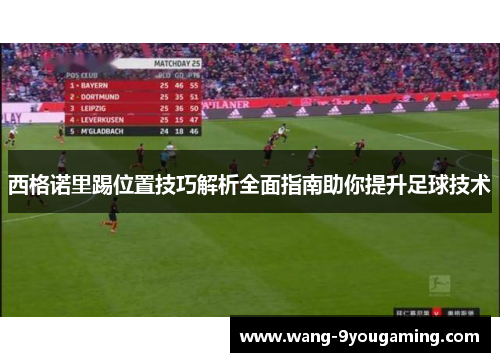 西格诺里踢位置技巧解析全面指南助你提升足球技术 西格诺里踢位置技巧解析全面指南助你提升足球技术