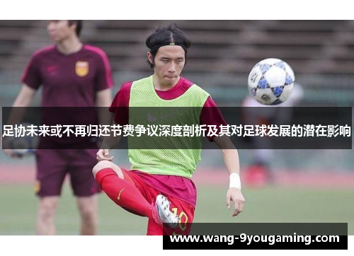 足协未来或不再归还节费争议深度剖析及其对足球发展的潜在影响