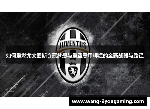 如何重燃尤文图斯夺冠梦想与重塑意甲辉煌的全新战略与路径